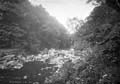 The Lawrence Photograph Collection