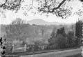 The Lawrence Photograph Collection
