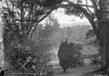 The Lawrence Photograph Collection