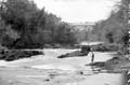 The Lawrence Photograph Collection