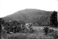 The Lawrence Photograph Collection