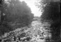 The Lawrence Photograph Collection