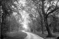 The Lawrence Photograph Collection