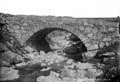 The Lawrence Photograph Collection