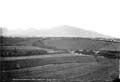 The Lawrence Photograph Collection