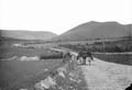 The Lawrence Photograph Collection