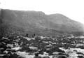 The Lawrence Photograph Collection