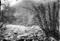 The Lawrence Photograph Collection