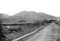 The Lawrence Photograph Collection