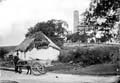 The Lawrence Photograph Collection