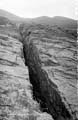The Lawrence Photograph Collection
