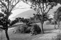 The Lawrence Photograph Collection