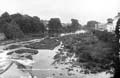 The Lawrence Photograph Collection