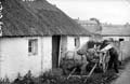 The Lawrence Photograph Collection