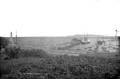 The Lawrence Photograph Collection