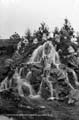 The Lawrence Photograph Collection