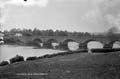 The Lawrence Photograph Collection