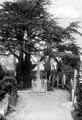 The Lawrence Photograph Collection