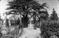 The Lawrence Photograph Collection