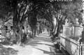 The Lawrence Photograph Collection
