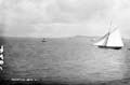 The Lawrence Photograph Collection
