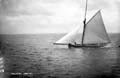 The Lawrence Photograph Collection