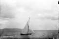 The Lawrence Photograph Collection