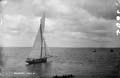 The Lawrence Photograph Collection
