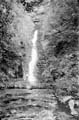 The Lawrence Photograph Collection