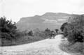 The Lawrence Photograph Collection