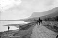 The Lawrence Photograph Collection