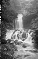 The Lawrence Photograph Collection