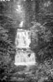 The Lawrence Photograph Collection