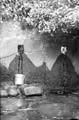 The Lawrence Photograph Collection