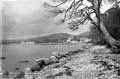 The Lawrence Photograph Collection