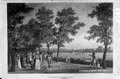 The Lawrence Photograph Collection
