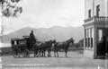 The Lawrence Photograph Collection