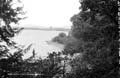 The Lawrence Photograph Collection