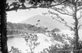 The Lawrence Photograph Collection