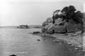 The Lawrence Photograph Collection