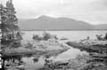 The Lawrence Photograph Collection