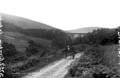 The Lawrence Photograph Collection