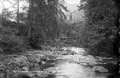 The Lawrence Photograph Collection
