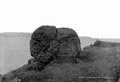 The Lawrence Photograph Collection
