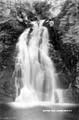 The Lawrence Photograph Collection