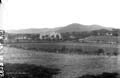 The Lawrence Photograph Collection