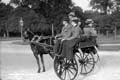 The Lawrence Photograph Collection