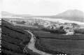 The Lawrence Photograph Collection