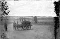 The Lawrence Photograph Collection