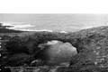 The Lawrence Photograph Collection